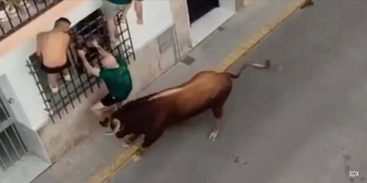 boga festivaline katilan kisi boynuzlanarak can verdi s15pSLhb