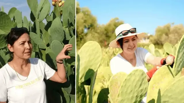 cevresindeki herkes alay etti turkiyede bir ilk yurt disinda cok degerli Tw3YgGi1