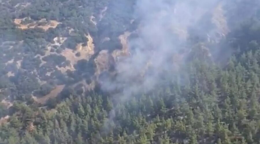 denizlide orman yanginina mucadele devam ediyor IJGVdZGH