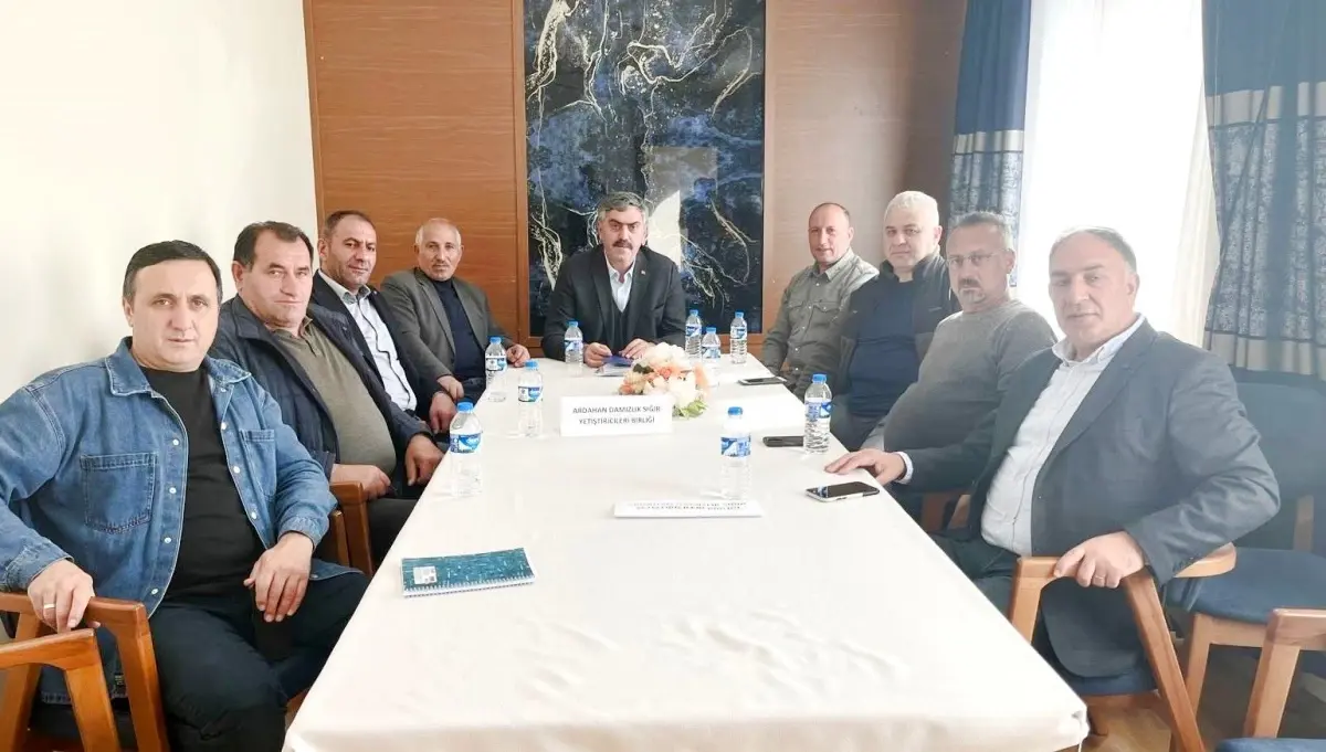 ardahan sigir yetistiriciliginde basarilar npOxkrLv.jpg