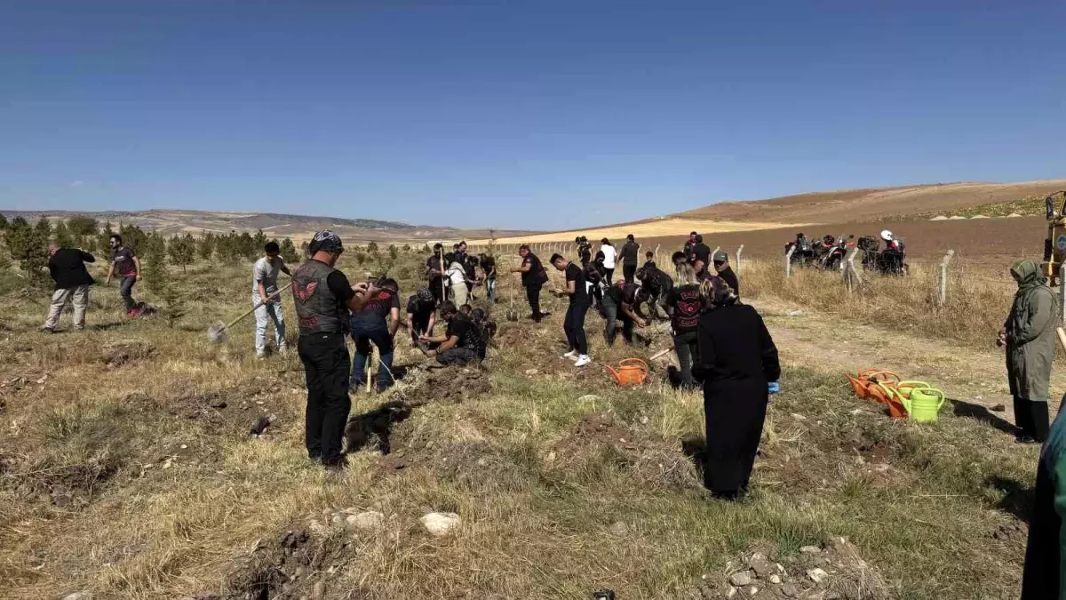 kayseride 1500 fidan dikimi ile yesil gelecek hedefleniyor QgCBkjSV