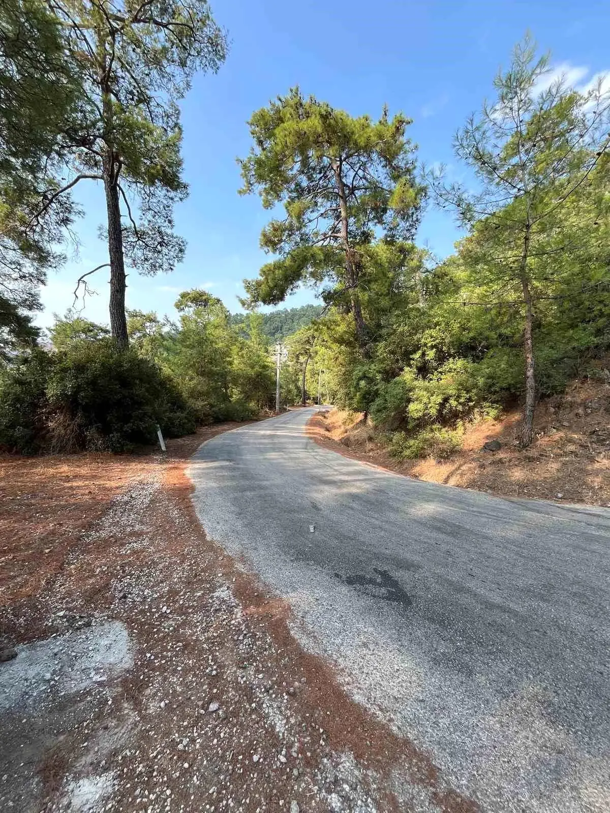 marmariste yangin onleme calismalari yayginlasirken f7P5vU8R