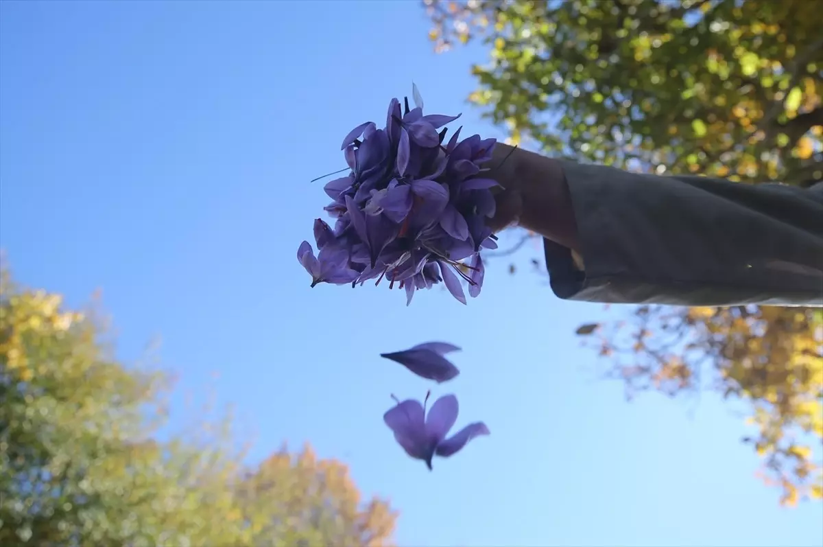 safran hasadi devam ediyor MW37dAQE.jpg