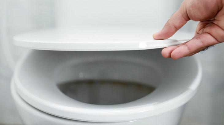 Yılan, fare, örümcek fark etmiyor! Klozetten eve giriyor, sifonu çekerek uzaklaştırmayın