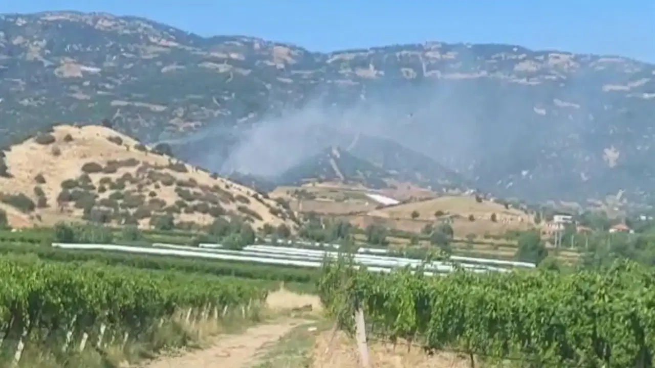 Manisa’da makide başlayan yangın ormana sıçradı Img