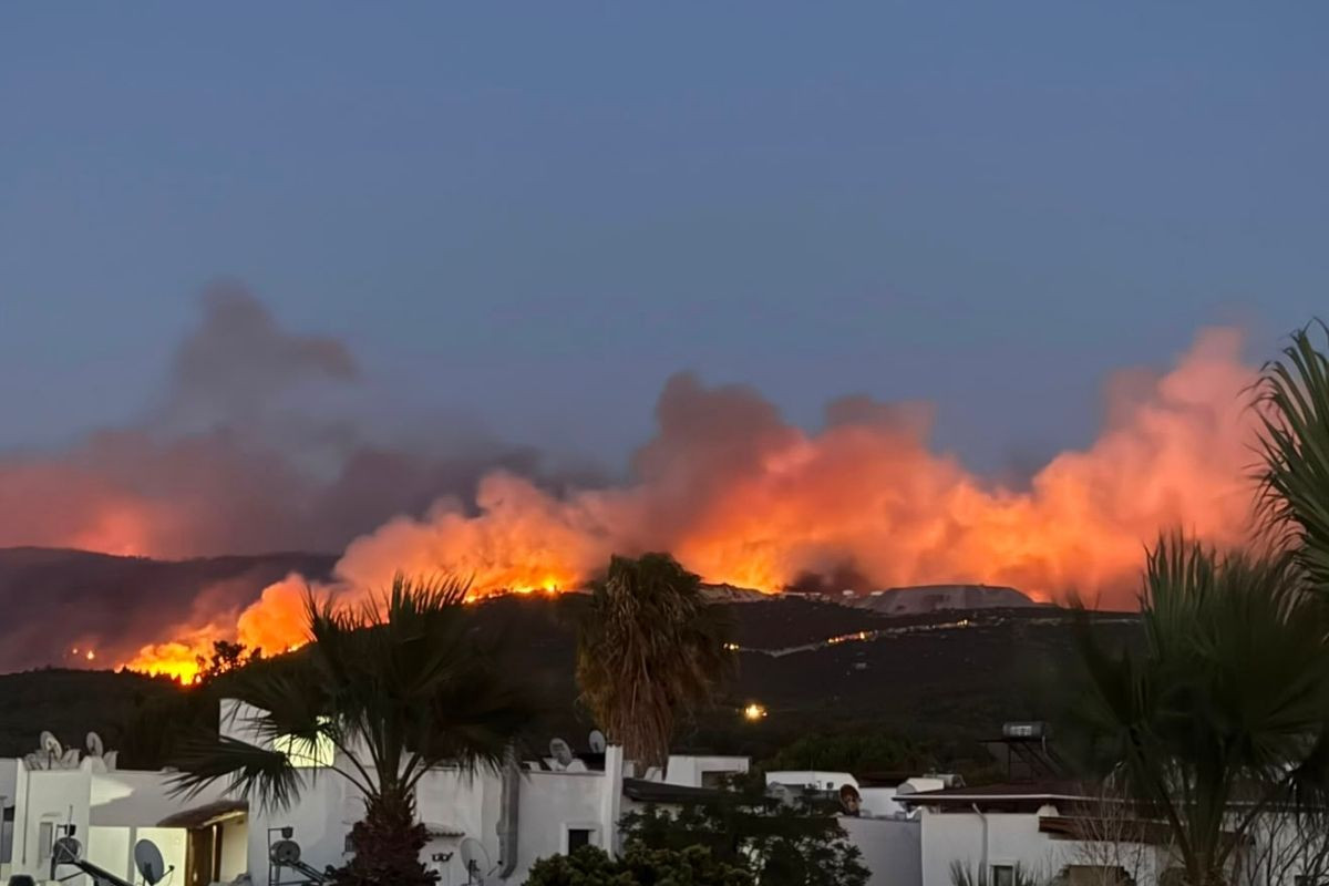 Muğla’nın 3 ilçesinde orman yangını çıktı Img