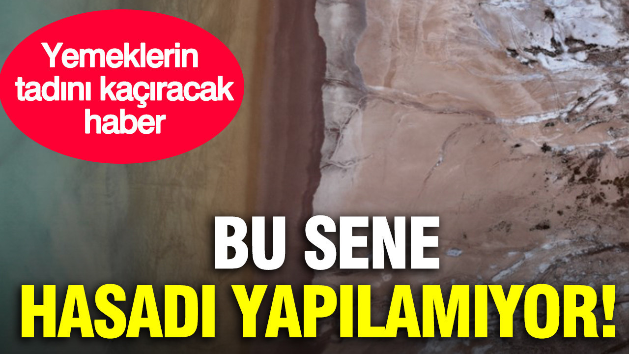 Yemeklerin tadını kaçıracak haber: Bu yıl gölde tuz hasadı yapılamıyor Img