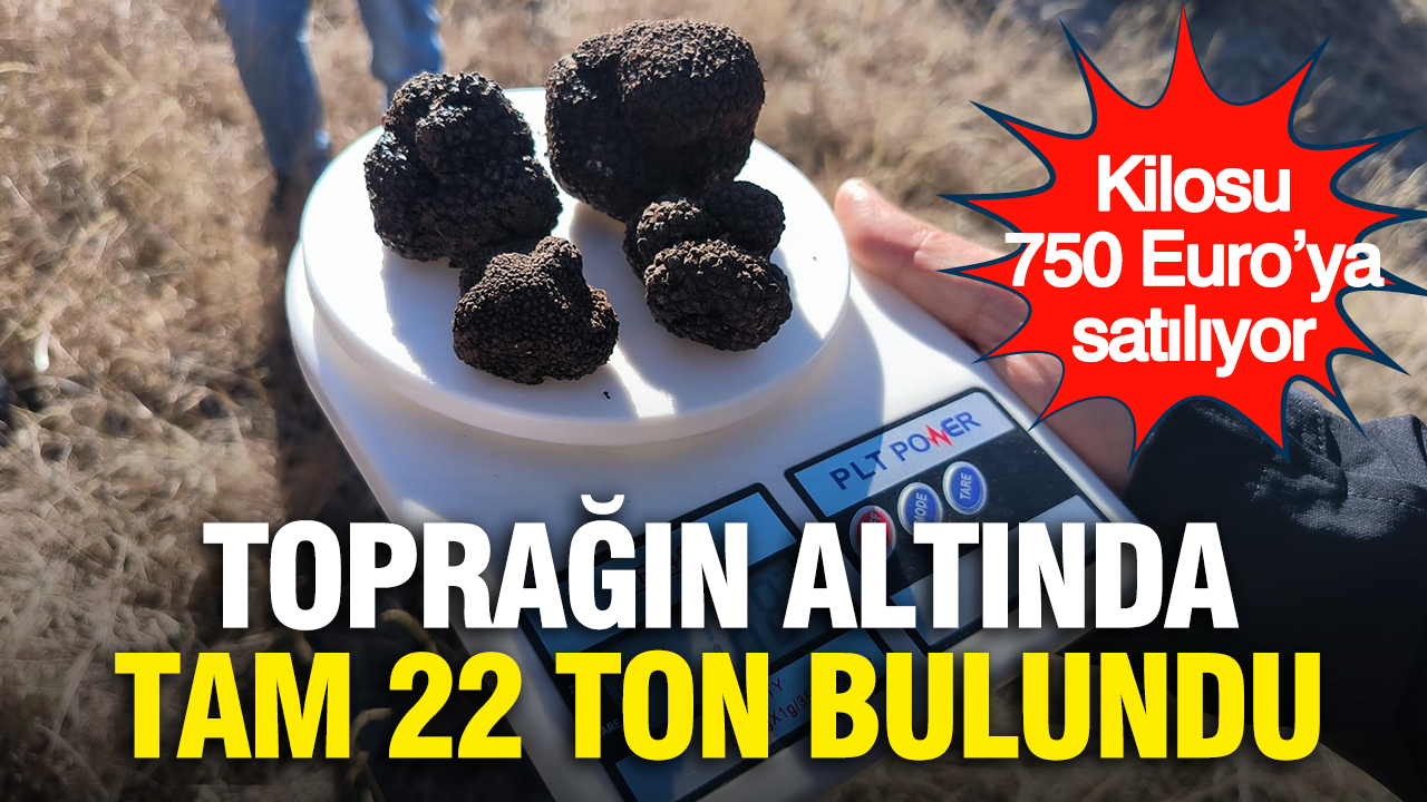 Kilosu 750 euroya satiliyor topragin altinda tam 22 ton bulundu IgsDtiIO